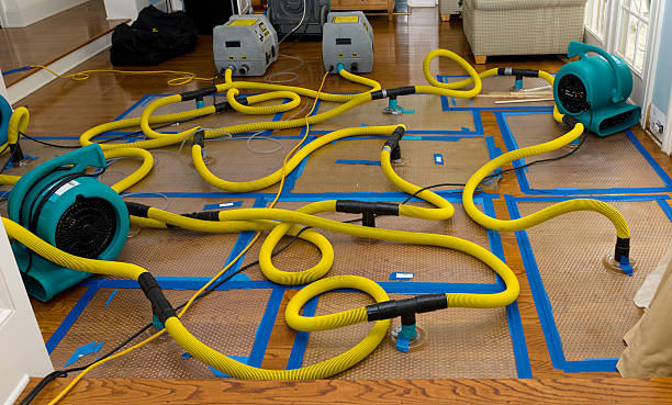 Professional Storm Water Damage Restoration technician working in Newell, WV