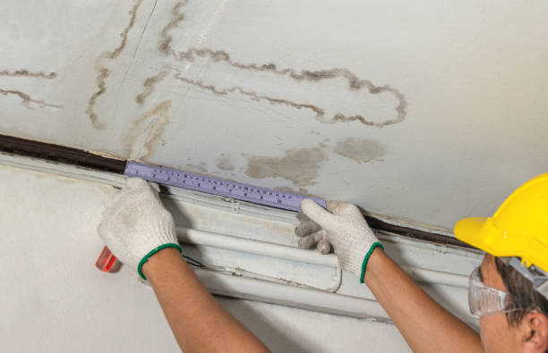 Affordable Water Damage Repair solutions in Newell, WV
